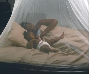 Buy cheap White Anti Insect Netting , Diamond / Hexagonal Mesh Mosquito Net For Bed product
