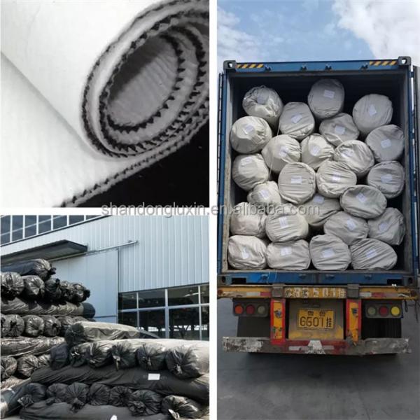 density Polyethylene Plastic Road Base Geonet 3D Composite Drainage Geonet Compound Net Length 50m