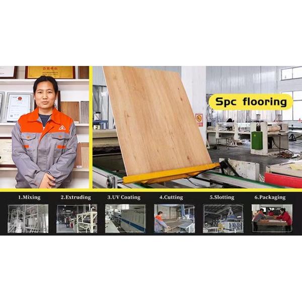 SPC Luxury Vinyl Plank Flooring 6mm
