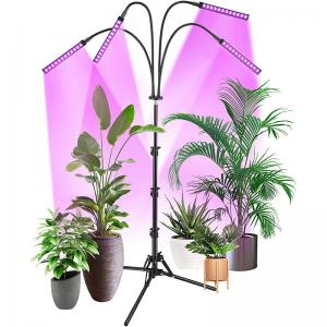 Buy cheap FCC IP44 RED Blue Floor LED Plant Lamp Floor Grow Lamp For Indoor Plants product