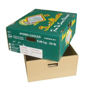 Strong Fruit Packaging Carton Tomato Box Cherry Box with Lid