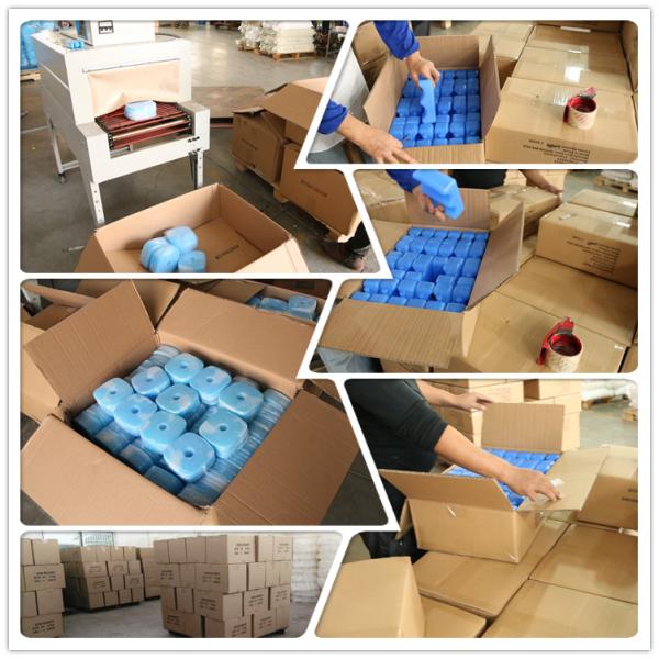 15 * 10 * 1cm Small Reusable Gel Ice Packs With A Hard Plastic Shell Inside