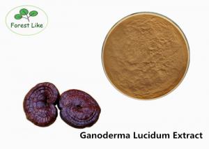 China Natural Mushroom Extract Ganoderma Lucidum Extract Powder 20% Beta D on sale