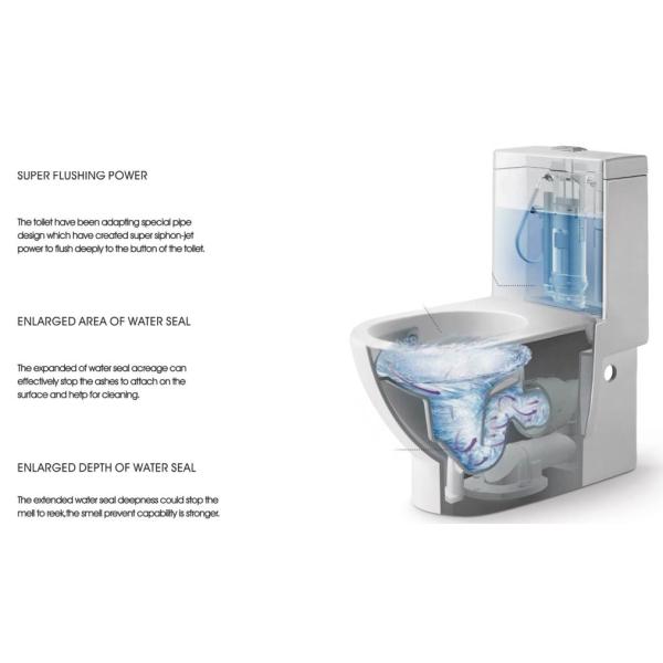 Siphon Flushing Type One Piece Toilet With Slowdown UF Cover