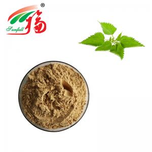 Buy cheap Pure Herbal Stinging Nettle Root Extract 5:1 For Health Food product