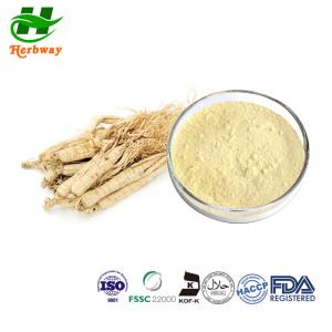 China Ginseng Root Extract Powder Ginsenosides 80% CAS 90045-38-8 Panax Ginsen Ginseng Extract on sale