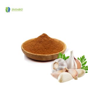 China Garlic Extract Powder 10:1 Food Grade Garlic Extract 5% Allicin Powder on sale