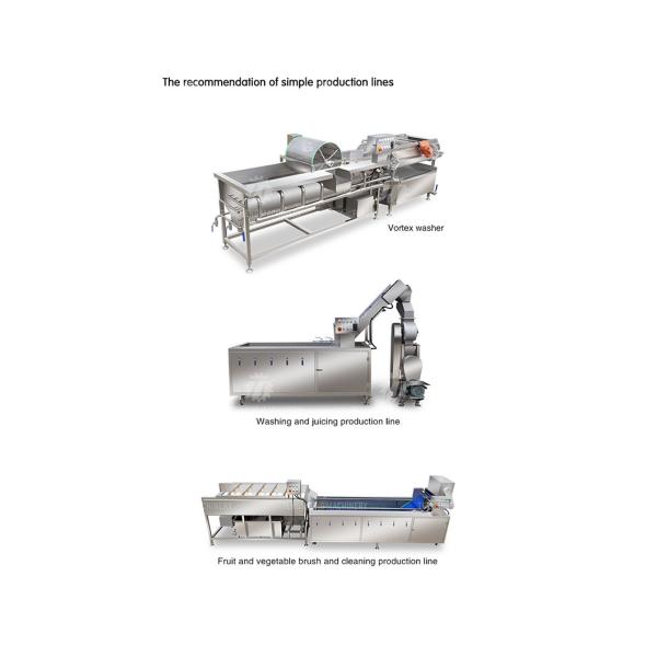 Multifunctional Fruit And Vegetable Processing Line Hoisting Machine