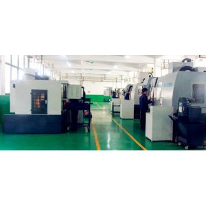 JIAXING VIIPLUS INTERNATIO NAL CO.,LTD