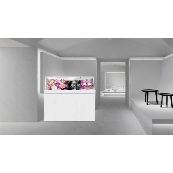 OLED transparent display showcasing image quality