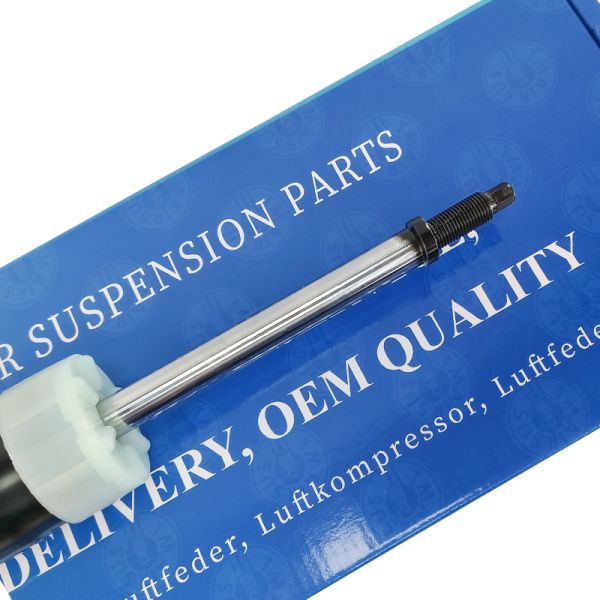 Auto Parts 68069671AE 68234048AB Rear Shock Absorber Strut For Jeep grand Cherokee WK2 2011-2021