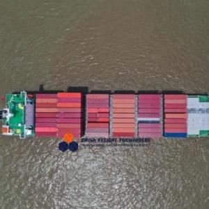 Buy cheap Logistics Ocean Freight Agent China Sea Forwarders Shipping FIATA product