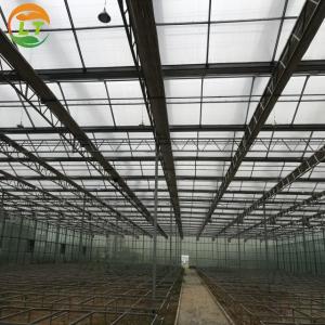 Buy cheap Greenhouse Multi Span Agriculture Polycarbonate Greenhouse for Optimal Air Flow product