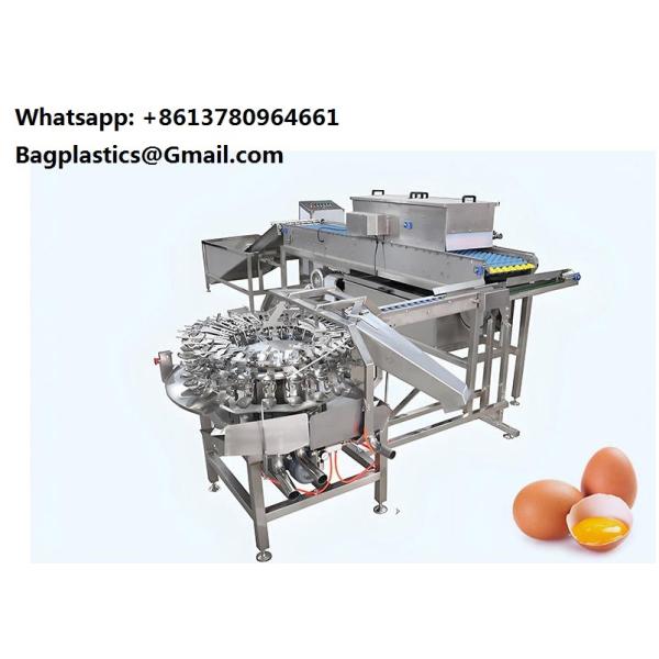 200L To 1000L Fully Automatic Egg Yolk Powder Egg Liquid Production Line Factory Direct Supply Wash Line for Goose Eggs, Duck Eggs, and Chicken Eggs -