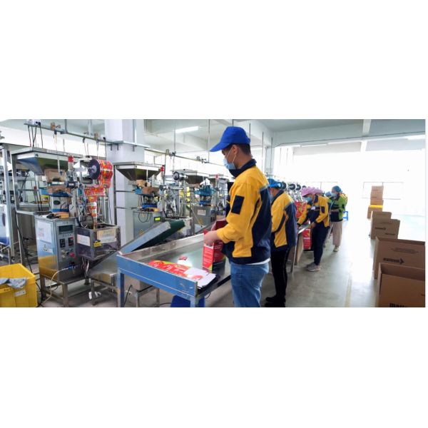 Safety Silicone Reusable Ear Plugs with Slow Rebounded PU Foam for Noise Reduction and Customized Color