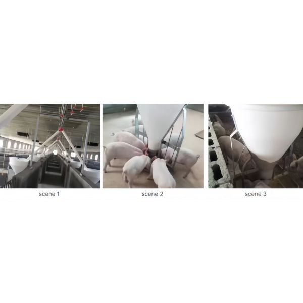 Plastic Pig Dry Wet Feeder Automatic Dry And Wet Feeder Piggery Equipment