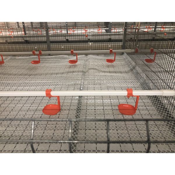 Automatic Layer Chicken Cage System with Hot-Dip Galvanized Steel Multi-Tier Manure Removal and Automated Feeding