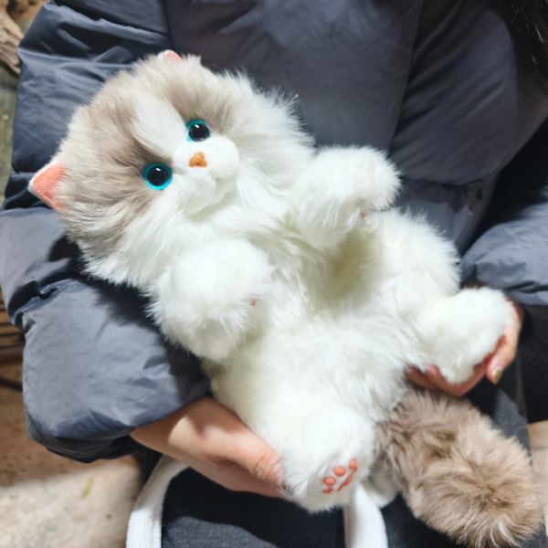 Realistic Animatronic Remote Control Backpack Cat with 3000mAh 12V Battery and Textured Elastic Fabric - Customized Design