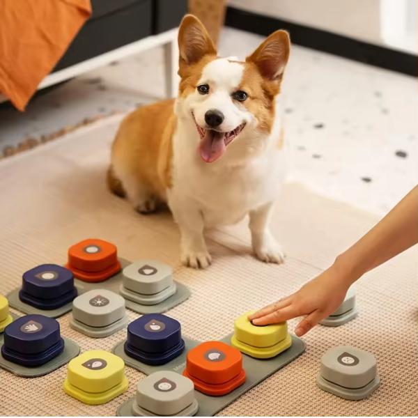 Customized Dog Communication Buttons Square Voice Recording Buttons For Dogs