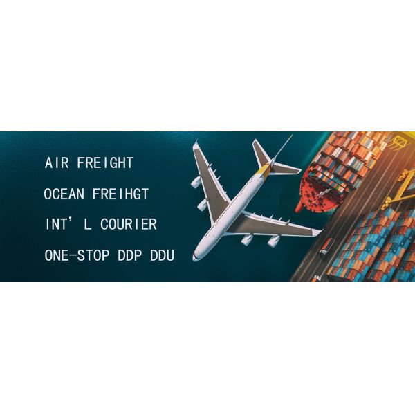 DDP International Freight Forwarder China , Cargo International Forwarders Services