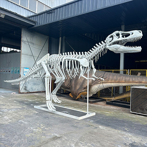 Jurassic Park Display Realistic Fiberglass T Rex Skeleton Model / Dinosaur Bone Model