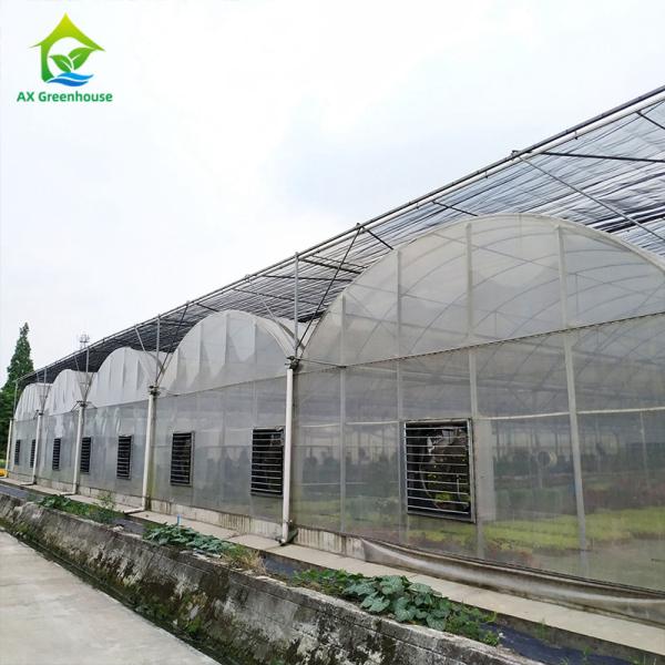 Waterproof Greenhouse Ventilation Fan