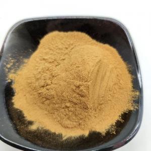 China Polyphenol compounds polysaccharides and caffeoylquinic acid Green Coffee Bean Extract on sale
