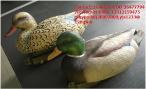 Buy cheap XPE Foam material foldable turkey decoy for hunting product