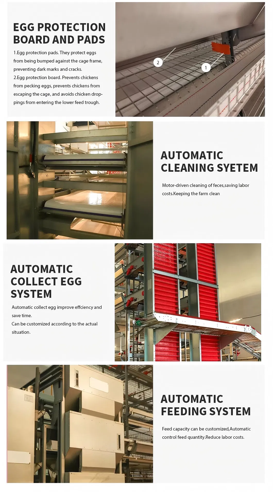 Automatic H Type Chicken Cage Multi Tiers Stacked Poultry Farms Layer Cage