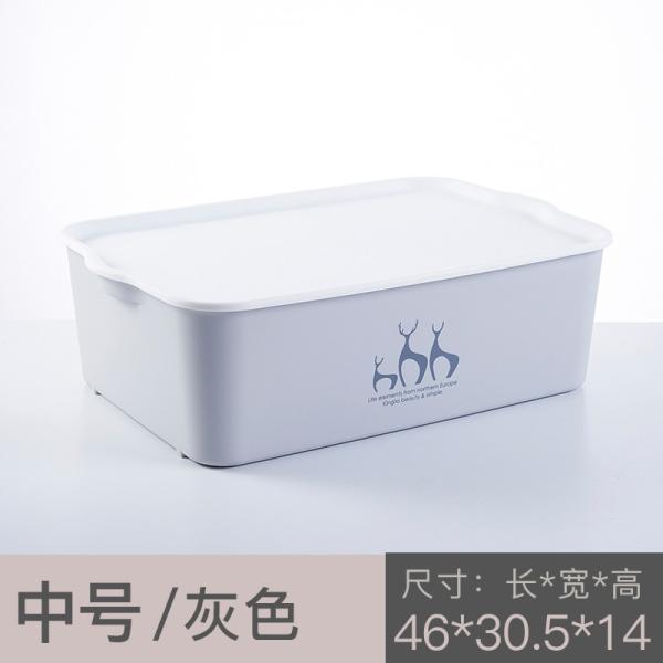 Living Room Bedroom Underwear Plastic Organizer Box With Lid