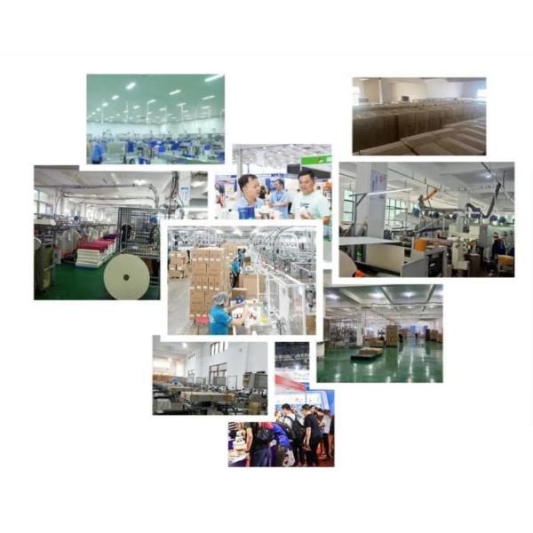 Customized Disposable 2 Cups Holder for Shipping Cost and Return refunds Eco-Friendly