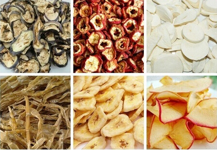 SteamTunnel Fruit Drying Equipment , Stainless Steel Fruit Dehydration Machine