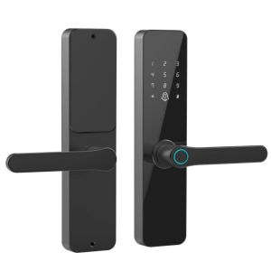 China Smart Lock Biometric Fingerprint Digital Door Lock Black Security TT Lock on sale