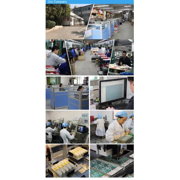 Waterproof Sound Chip with Replaceable Battery and Customizable Sound Duration for Greeting Cards and Toys