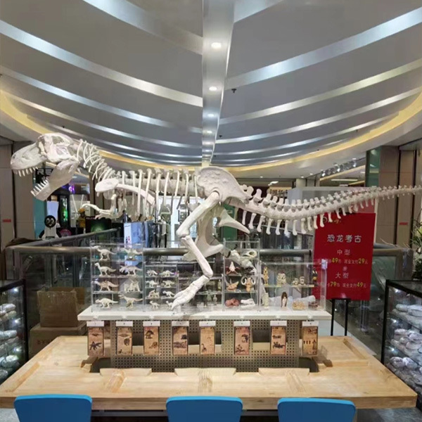 Science Center Education Display Fiberglass Dinosaur Skeleton Model 2 Years Warranty