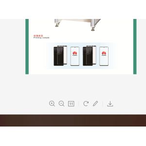 Fully Automatic 2-Color Pad Printing Machine for Plastic Bottle Caps