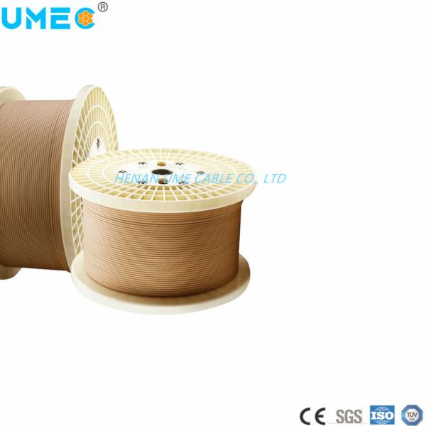 Kraft Paper Insulation Copper/Aluminum Rod Conductor Wire for Customer Specified Needs
