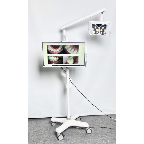 4 Universal Wheels Cold Light Teeth Whitening System Butterfly Shape Teeth Bleaching Equipment