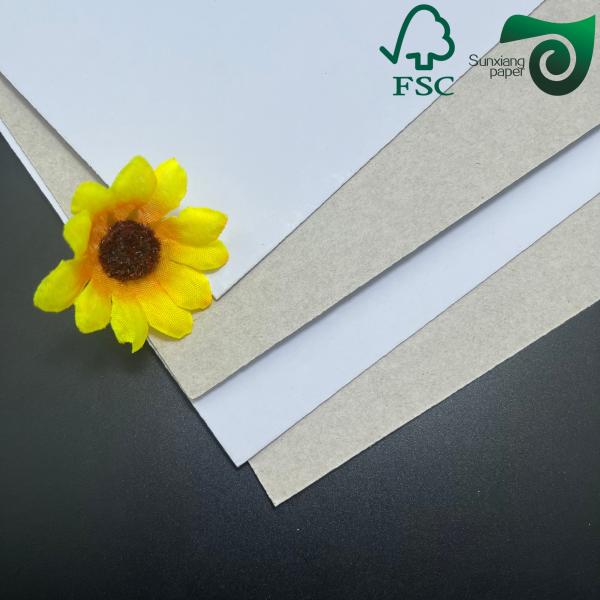 Grade AA Duplex Cardboard sample showing white coated surface and grey back
