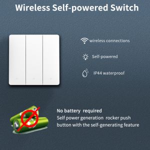 tuya Wireless Remote Control Switch controller and receiver match with tuya