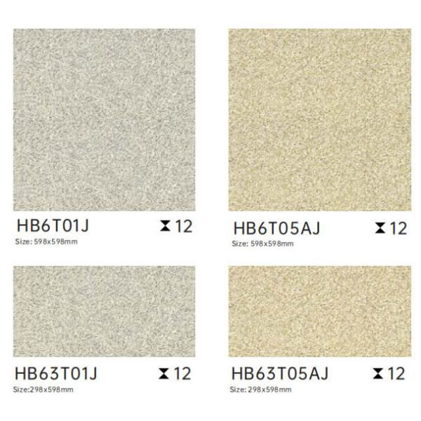 600x600mm Antibacterial Outdoor Porcelain Paving Tile