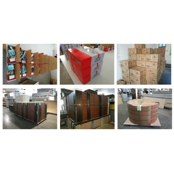 Square Beveled Partition Door Hardware SS Bathroom Partition Accessories