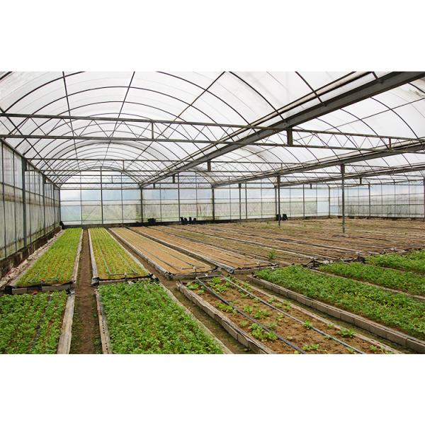12-15 Meter Tunnel Width IGREEN Large Multi-Span Plastic Greenhouse for Plant Farming