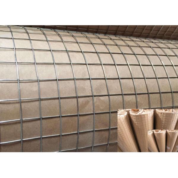1/2" - 6" Galvanized Welded Wire Mesh Roll For Agriculture Bright Cold Color