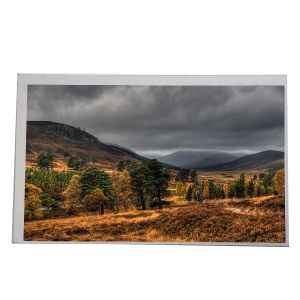 China 7inch 800x480 60pin RGB TFT LCD Screen AT070TN84 V.1 LCD Display Screen For Car Navigation on sale