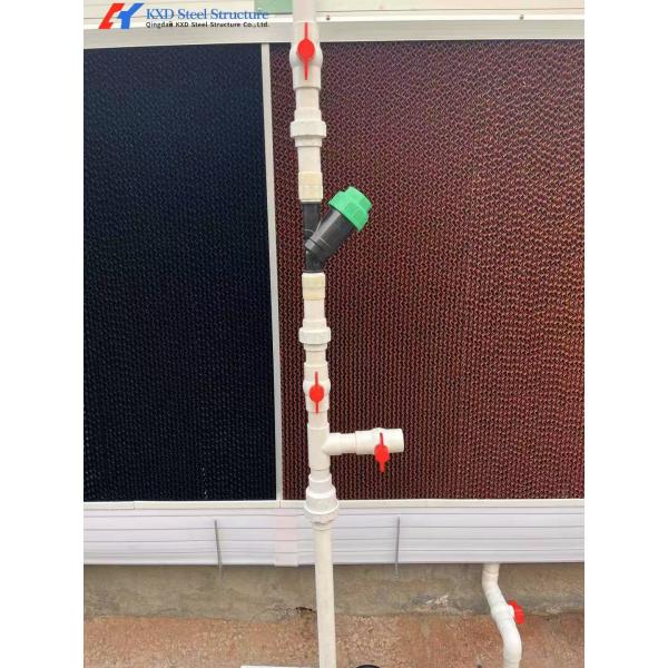 Plastic Pig Dry Wet Feeder Automatic Dry And Wet Feeder Piggery Equipment