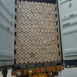 Factory Price Galvanized PVC Coated Welded Wire Mesh in Rolls