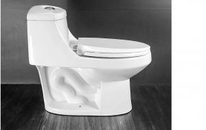 China 90mm One Piece Elongated Dual Flush Toilet Elongated 1 Pc Toilet on sale