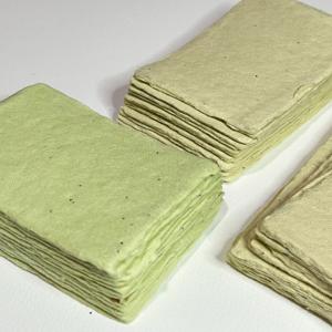 China Grass Green Embedded Seed Paper 2 . 2KN Bursting Strength Printable Seed Paper on sale