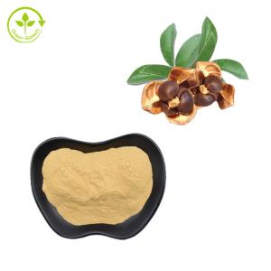 China Tea Seed Extract Natural Saponin Powder 90% For Cosmetic on sale